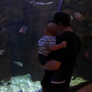 Meet your Posher, Sebastian